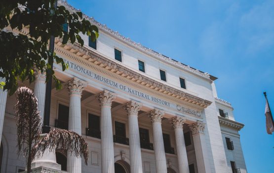 All you need to know about The National Museum of Natural History