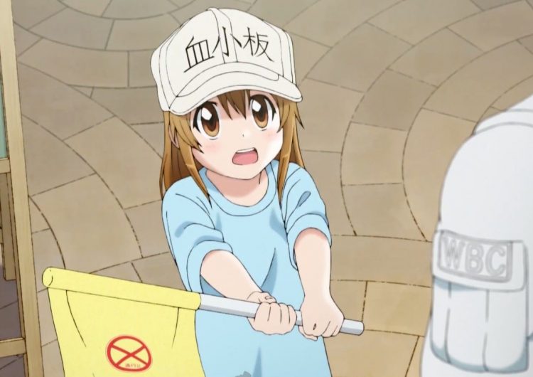 “Cells at Work’s” cuteness overload will cure your hatred of Biology class