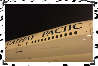 Cathay Pacific releases rare one-plane airline