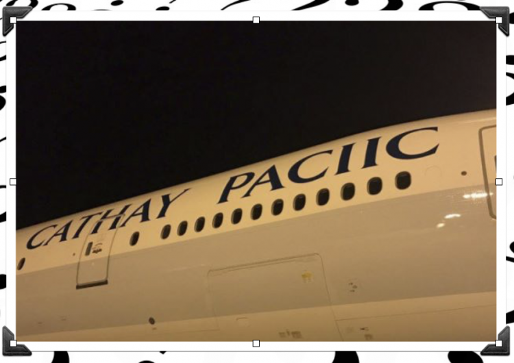 Cathay Pacific releases rare one-plane airline