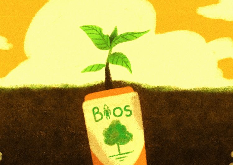 This biodegradable urn lets you grow into a tree when you die