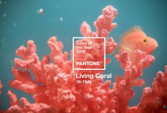 Living Coral is 2019’s Pantone Color of the Year and we’re living