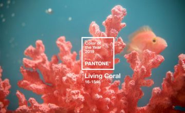 Living Coral is 2019’s Pantone Color of the Year and we’re living
