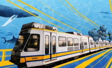 Hey, students! You can now ride our trains for free on weekdays
