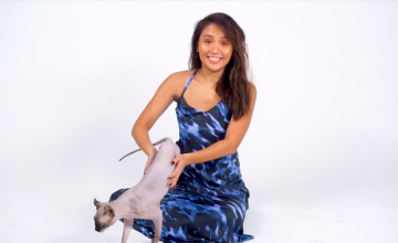 Kathryn Bernardo, dog person, tries to be a cat lady
