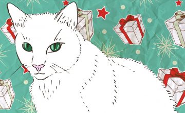 On gift-giving and life lessons, as told by a new cat mom