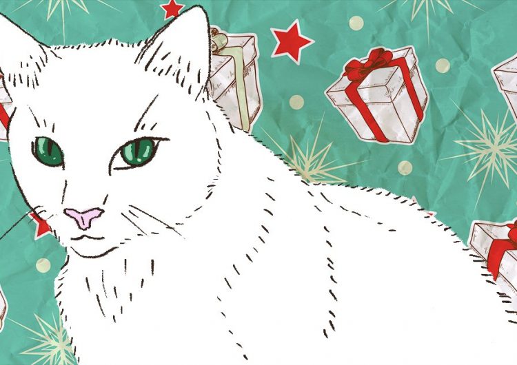 On gift-giving and life lessons, as told by a new cat mom