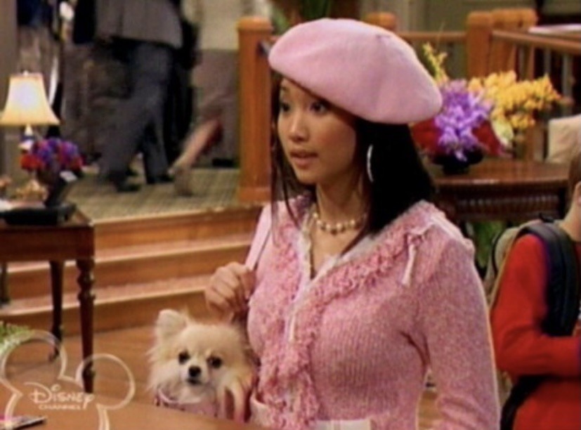 London Tipton in all pink, carrying her pet dog inside a bag