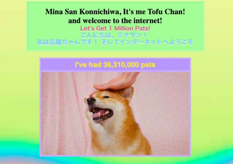 Local good boi Tofu Chan is in need of your virtual pats