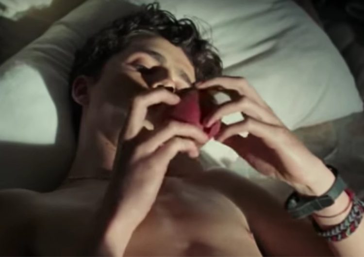 Everyone is still hot and bothered by the ‘CMBYN’ peach scene, says science